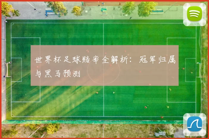 世界杯足球赔率全解析：冠军归属与黑马预测
