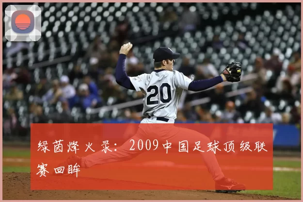 绿茵烽火录：2009中国足球顶级联赛回眸