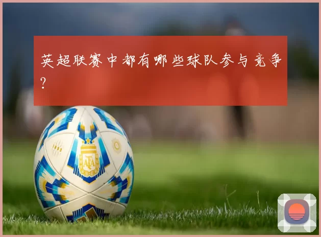 英超联赛中都有哪些球队参与竞争？