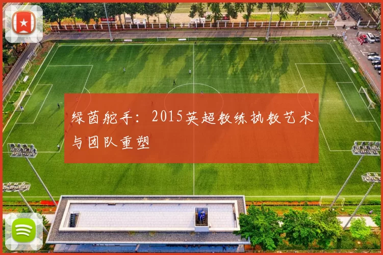 绿茵舵手：2015英超教练执教艺术与团队重塑