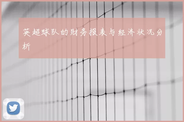 英超球队的财务报表与经济状况分析