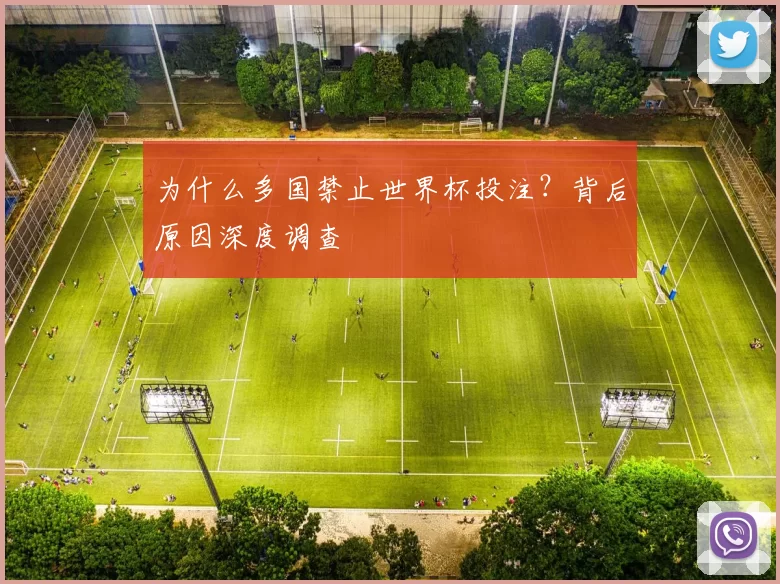 为什么多国禁止世界杯投注?背后原因深度调查
