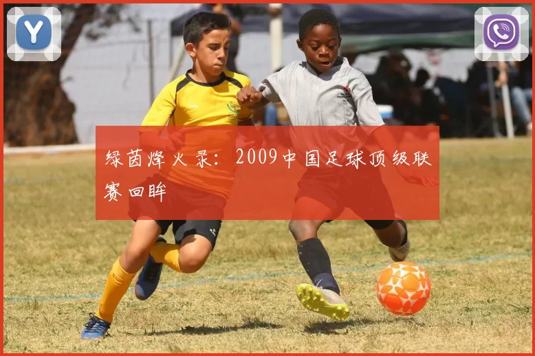 绿茵烽火录：2009中国足球顶级联赛回眸