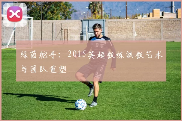 绿茵舵手：2015英超教练执教艺术与团队重塑