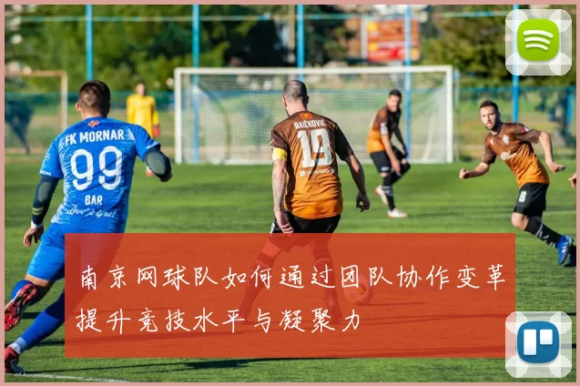 南京网球队如何通过团队协作变革提升竞技水平与凝聚力