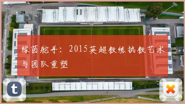 绿茵舵手：2015英超教练执教艺术与团队重塑