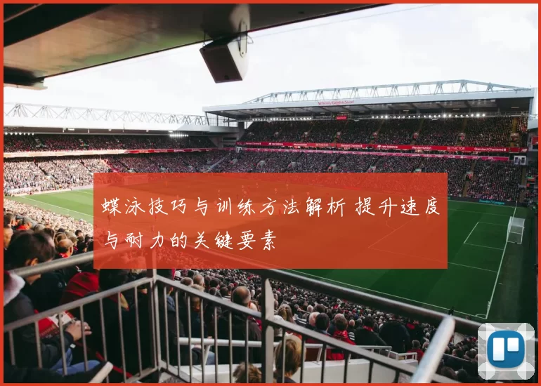 蝶泳技巧与训练方法解析 提升速度与耐力的关键要素